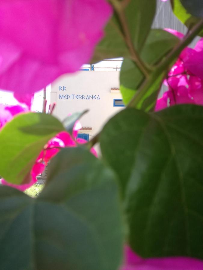Mediterranea Guesthouse B&B Portopalo Di Capo Passero 外观 照片